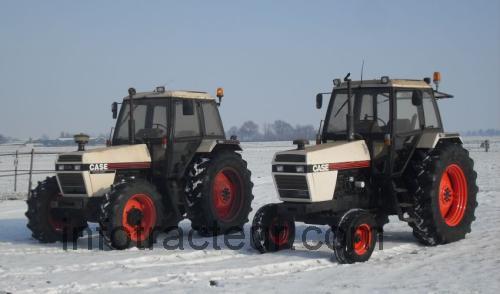 David Brown 1694 fiche technique et avis