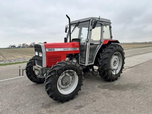 Massey Ferguson 365 fiche technique et avis